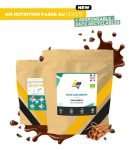 Native Lean Gainer Bio - Cacao / Cannelle
