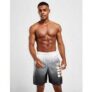 Jordan Short de Bain Homme
