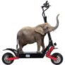 Scooter électrique adulte avec selle scooter électrique pliable 2400 watts tableau de bord LCD à double moteur 10 pouces pneus[106]