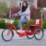 ZFF 3 Roues Adulte Tricycle 20- Tricycle Pédale Vélo avec Siège Arrière Seule Vitesse Trike Cargo Trike Cru avec Lumière Et Pani.29